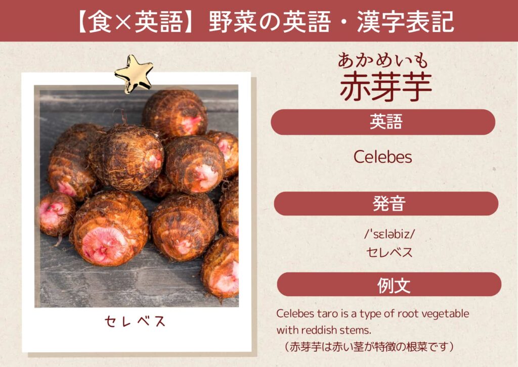 赤芽芋の漢字表記と英語表記。