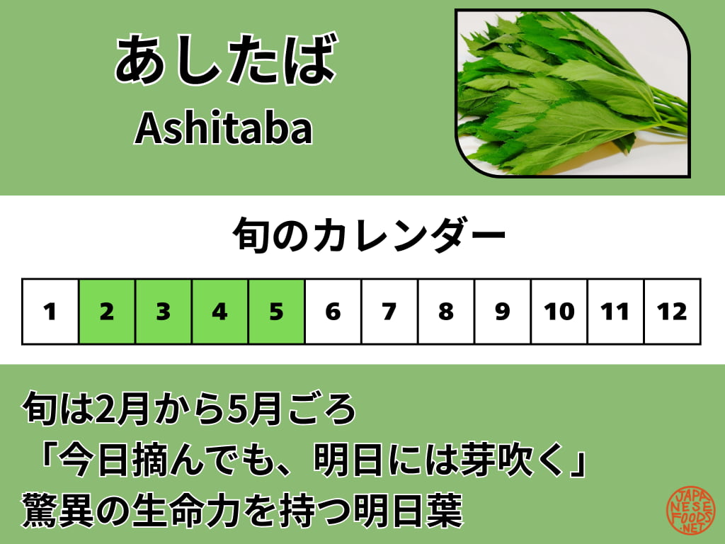 明日葉の旬のカレンダー。2月から5月、特に3月と4月が新芽が柔らかく最も美味しい時期であることを示す図解。