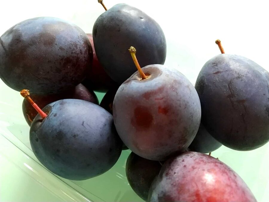 7月の旬の果物 - 栄養豊富な西洋李 プルーン（prune）