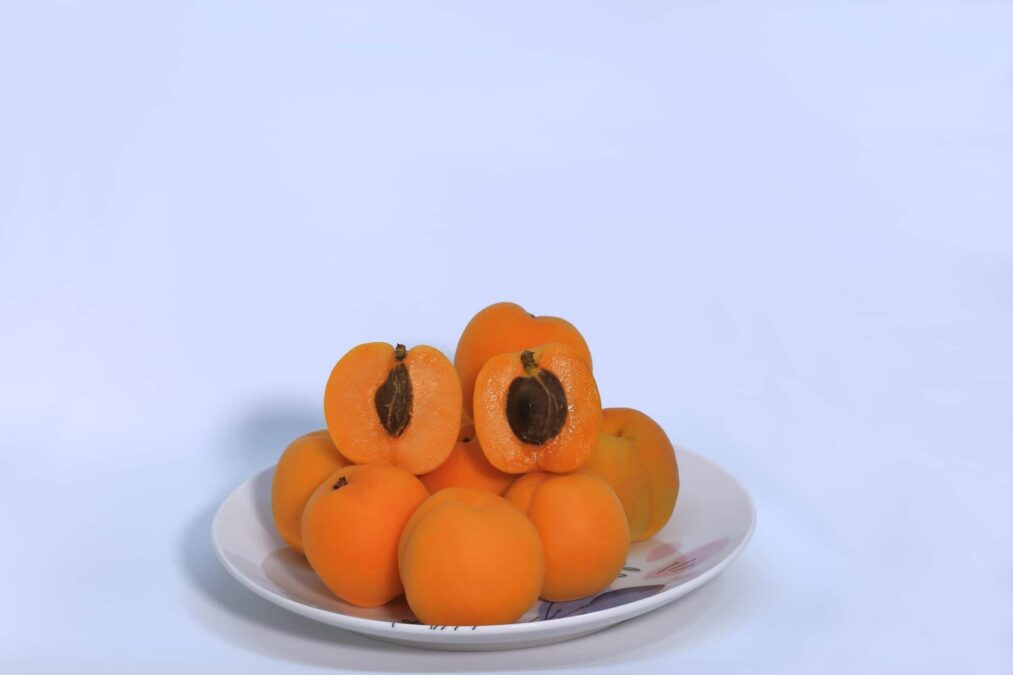 杏　あんず（apricot）