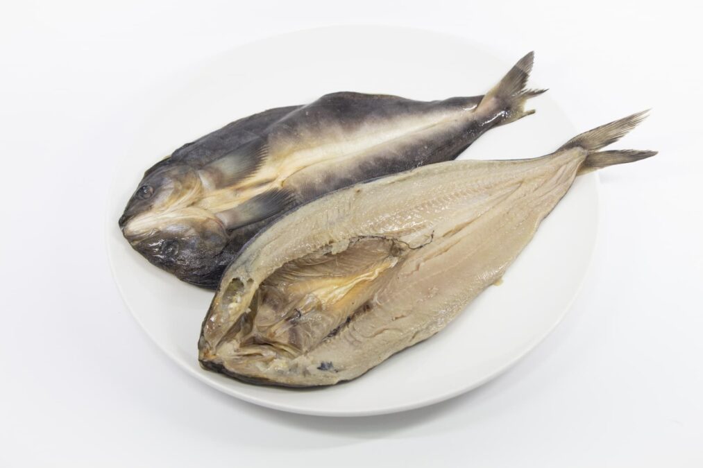 7月から旬が始まる魚介類｜𩸽　ほっけ（Atka mackerel）