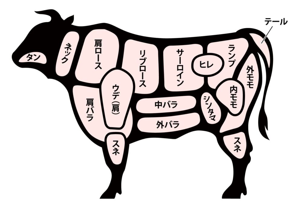 牛の部位図