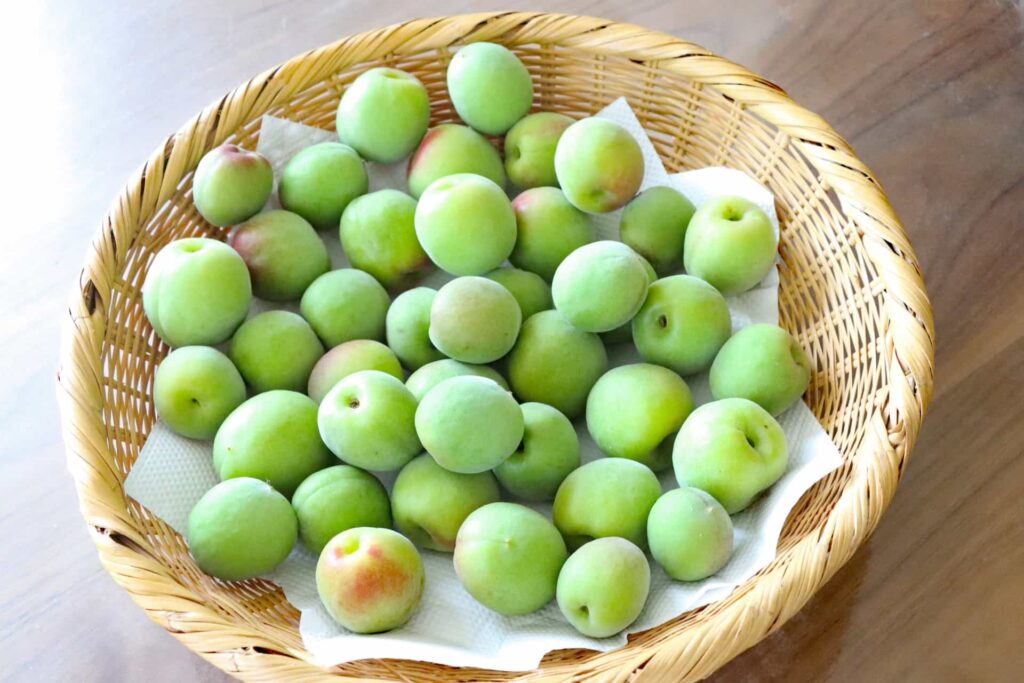 梅の写真。旬や特徴、栄養について解説します。