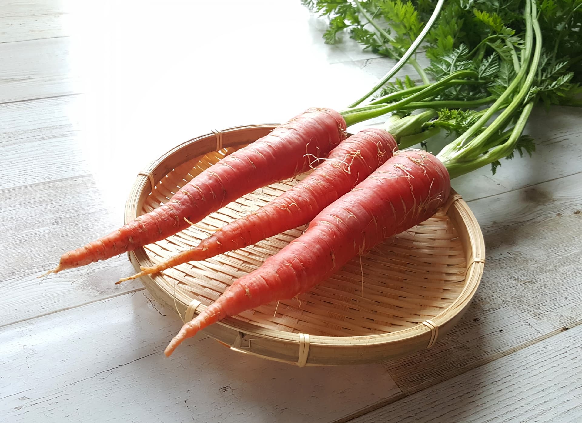 12月が旬の野菜ー金時人参