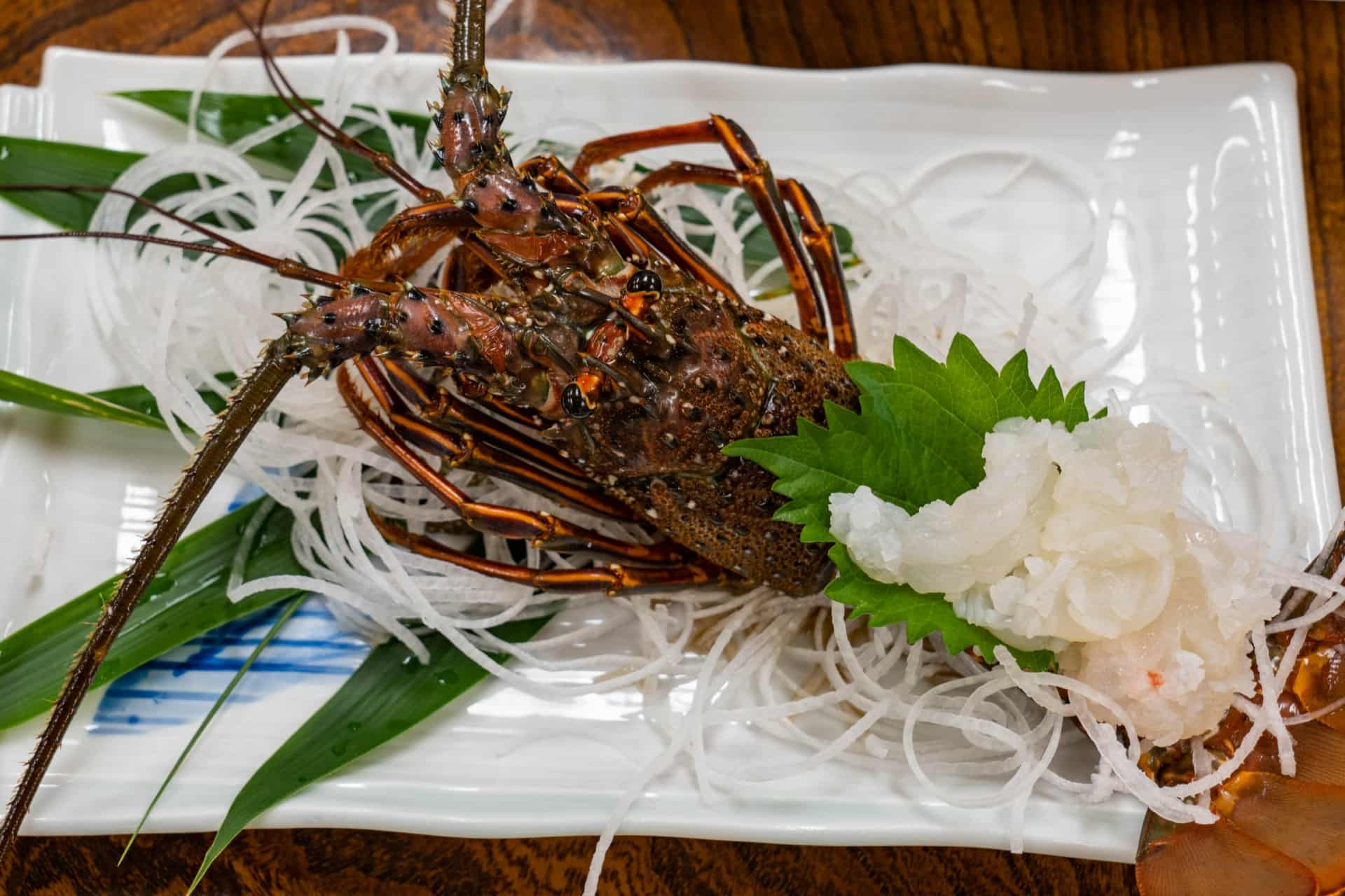 1月の旬の魚｜伊勢海老