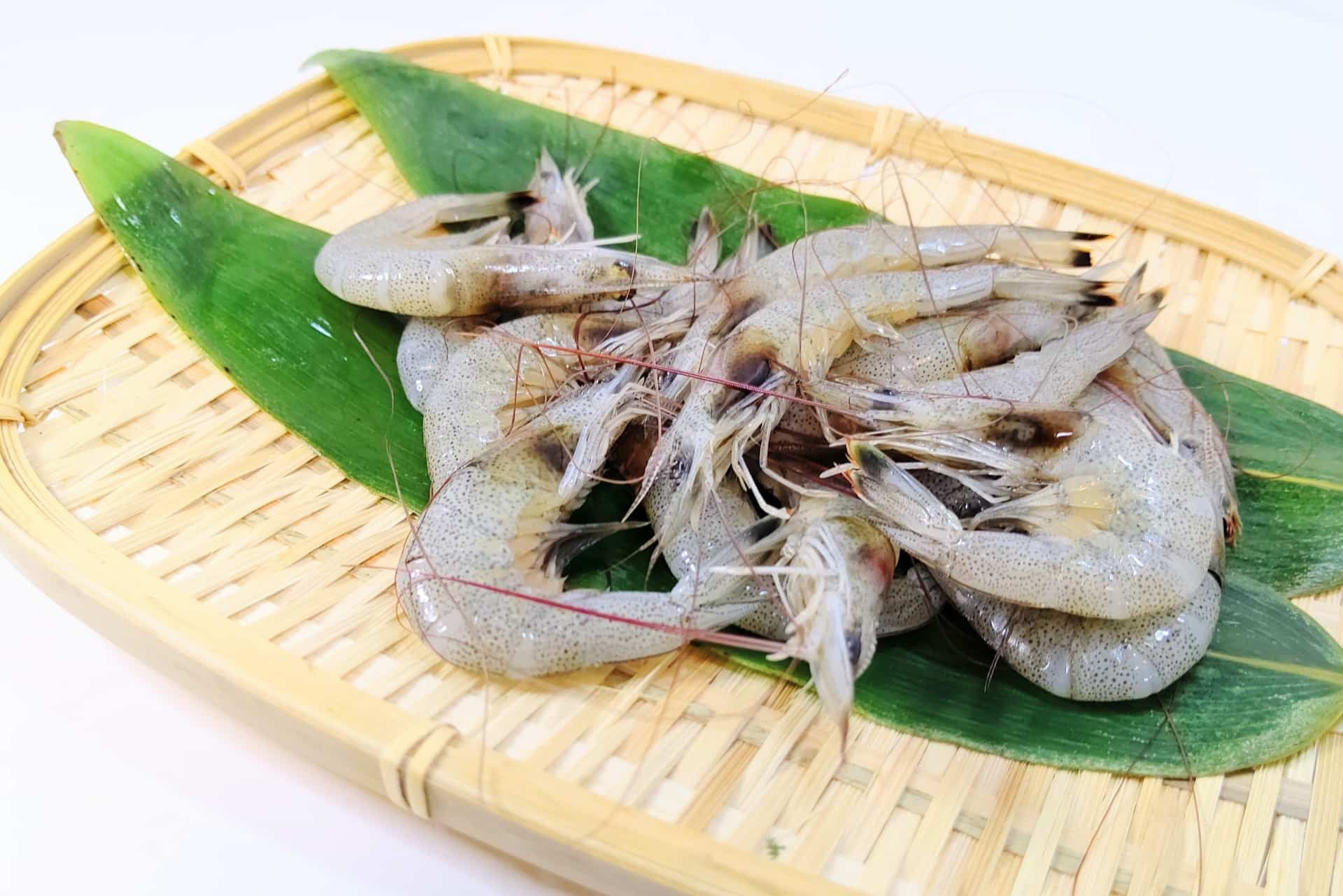 12月の旬の魚｜しばえび