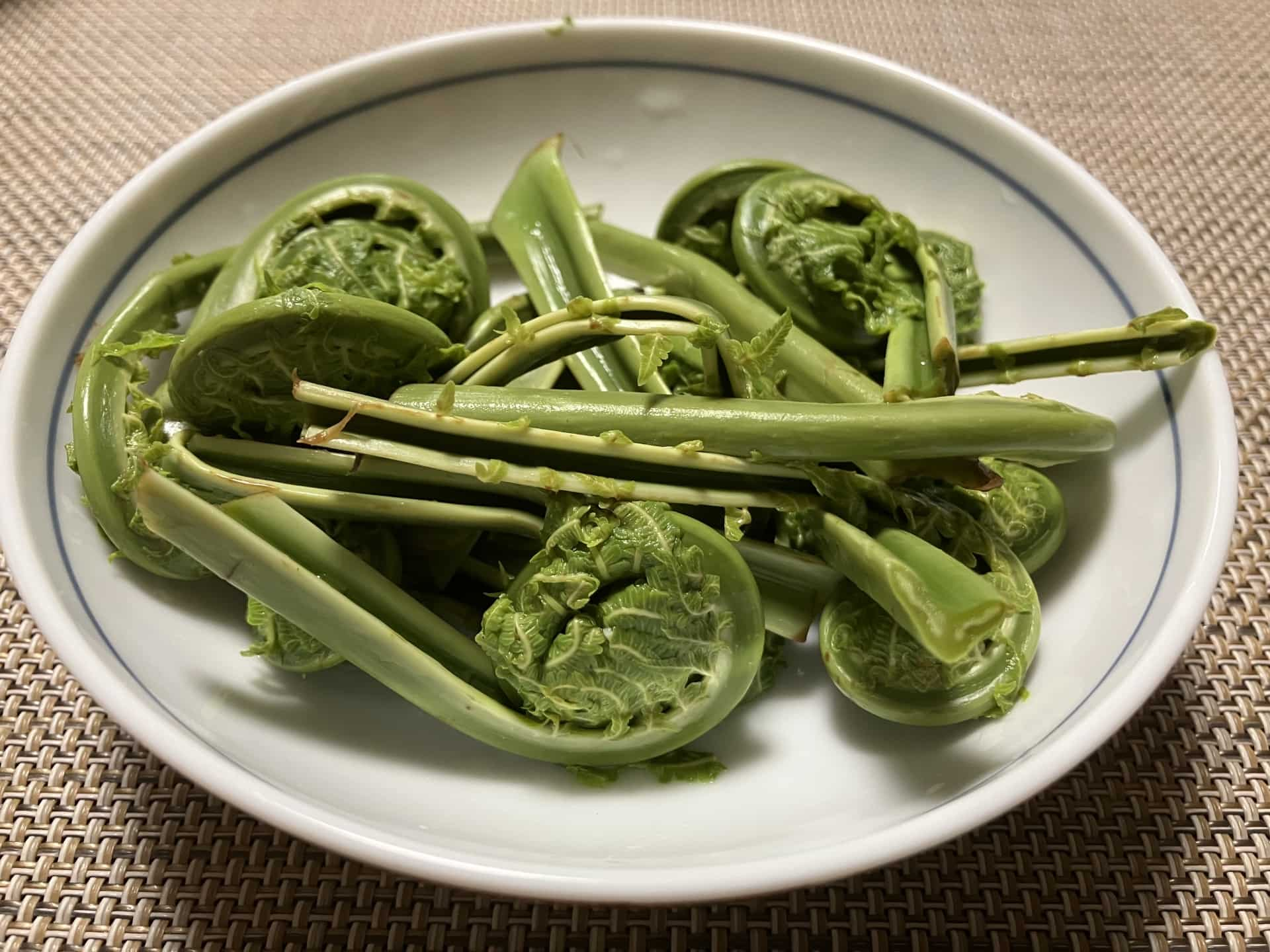 ４月が旬の野菜-こごみ