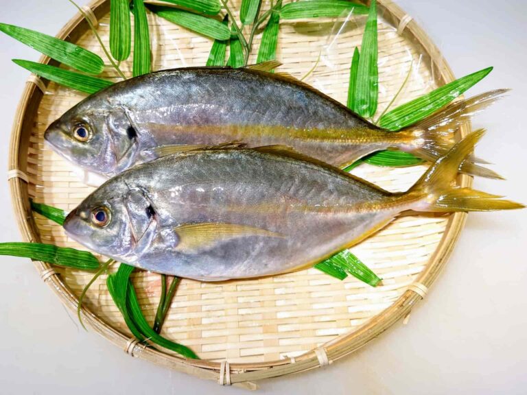 7月が旬の魚介類一覧｜調理師が選び方と食べ方を解説