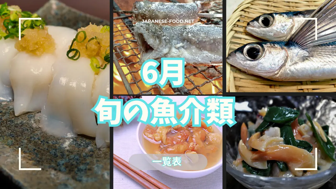 調理師がまとめた一覧表】6月が旬の魚介類