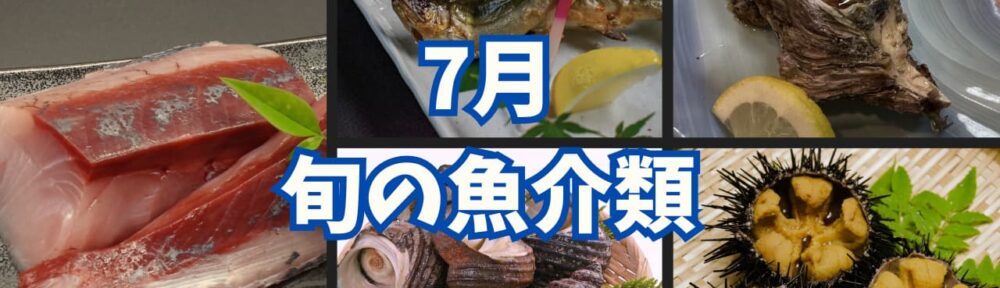 ７月旬の魚介類