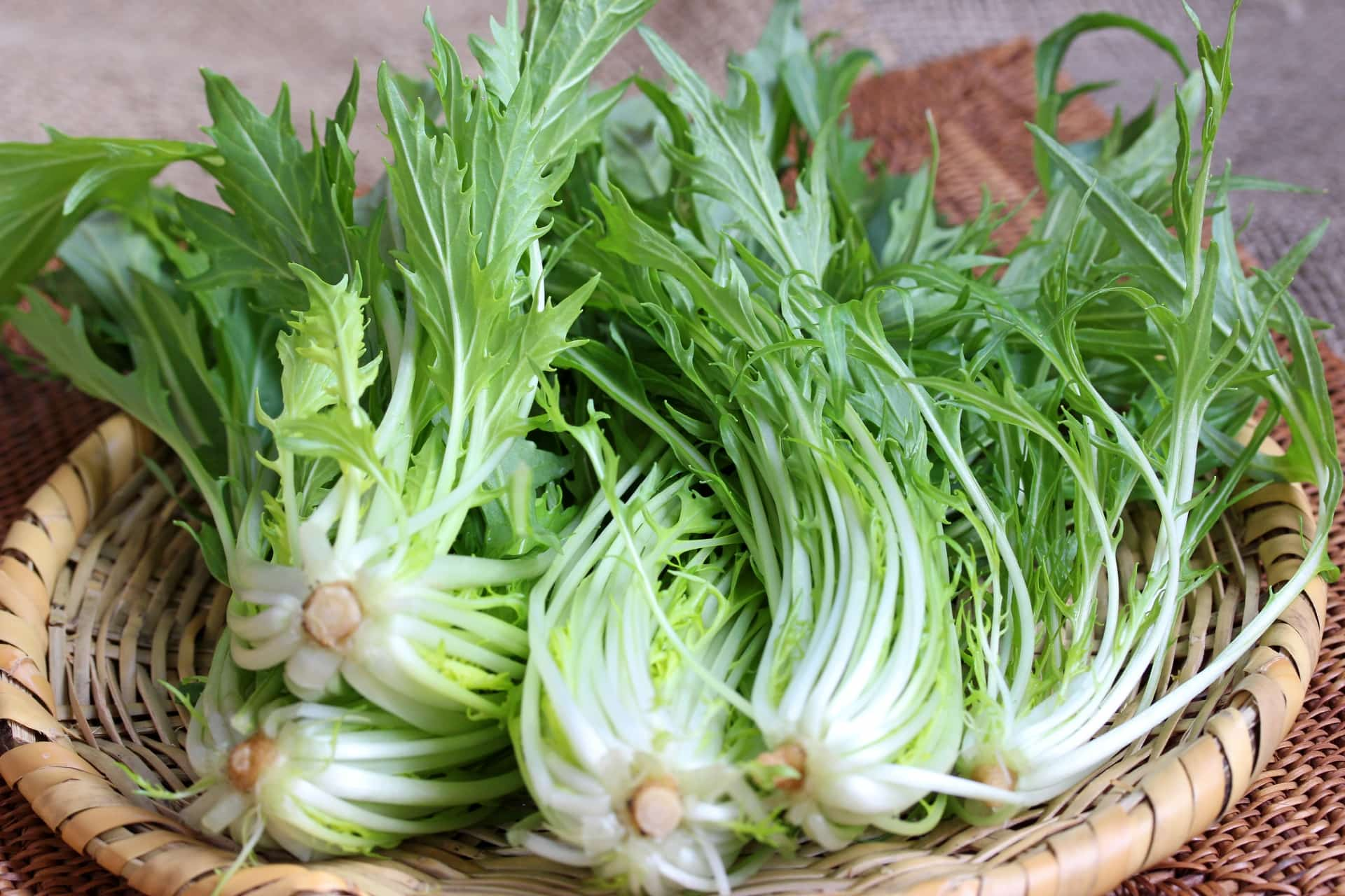 旬の野菜ー水菜