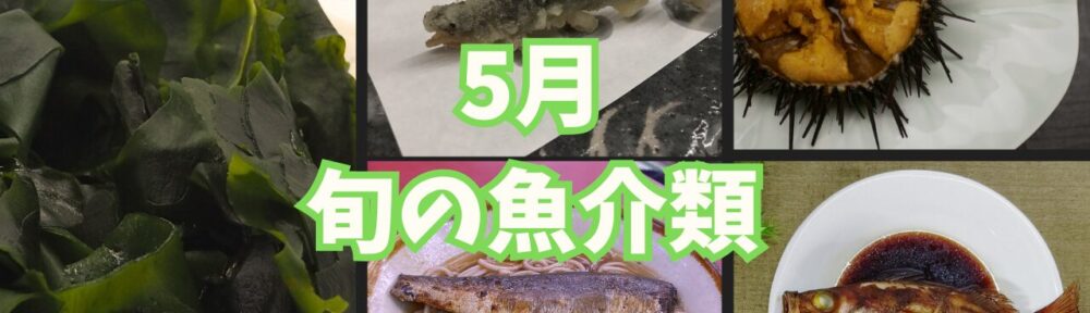 ５月　旬の魚介類