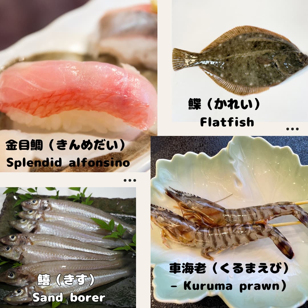 魚介類の漢字と英語表記一覧（か行）