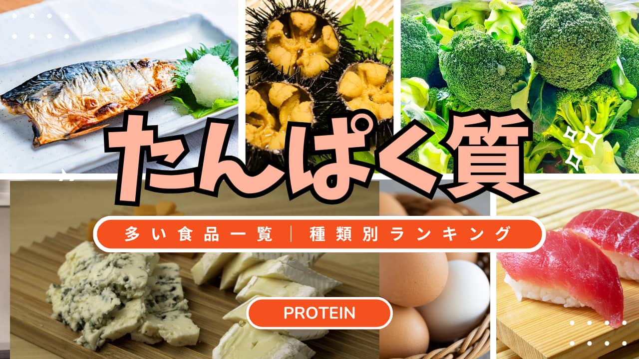 たんぱく質含有量ランキング｜卵・魚介・野菜・肉・乳製品のベスト10