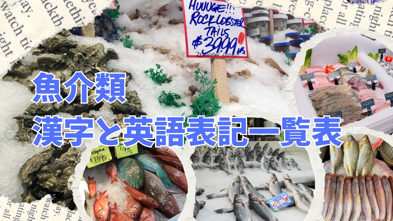 【190種】魚・魚介の英語一覧表|50音順&漢字も完全網羅