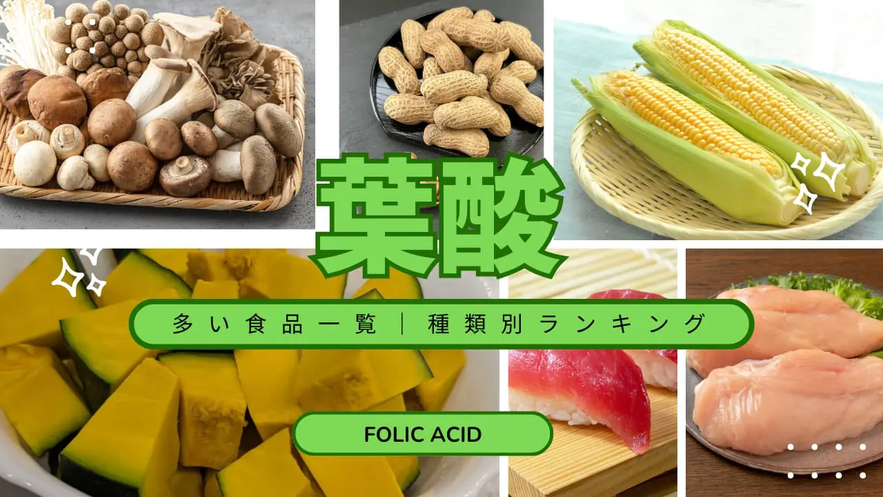 葉酸 食べ物 ランキング