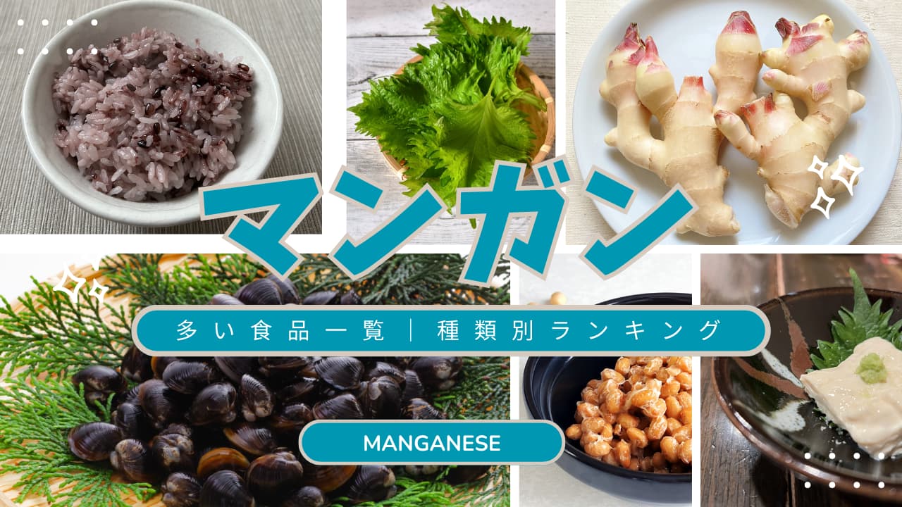 マンガンが豊富な食品ランキング｜魚介・野菜・種実類トップ10​