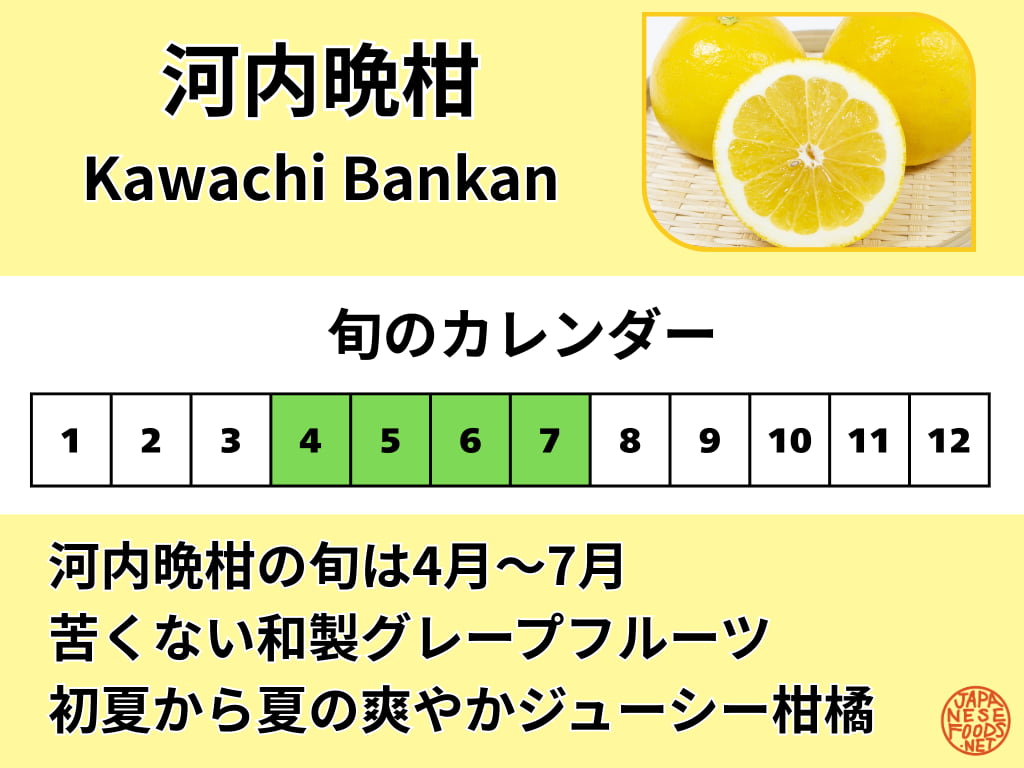 河内晩柑（かわちばんかん）の旬カレンダー 4月から7月が食べ頃を示す図表
