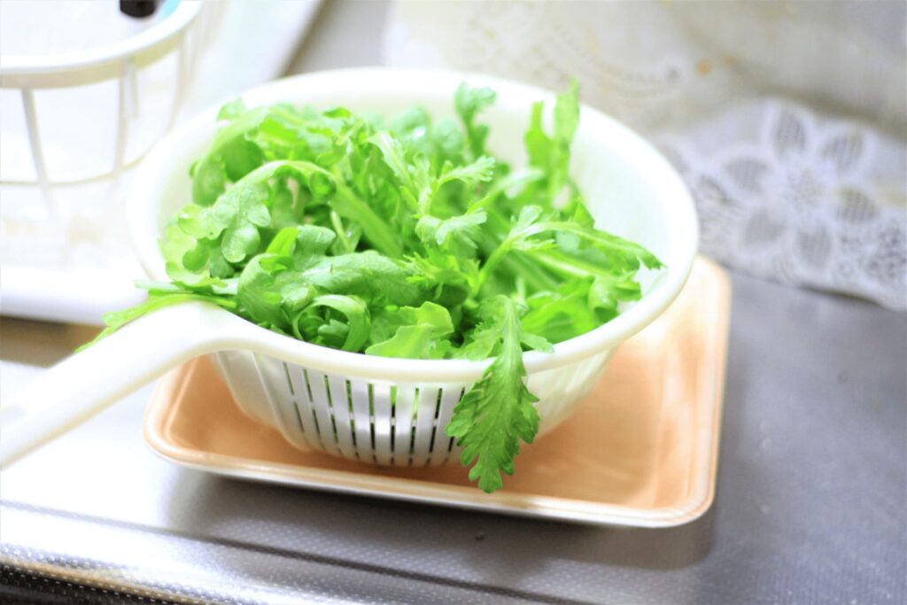 水洗い後、ざるで水気を切る春菊|春菊の保存と下処理方法