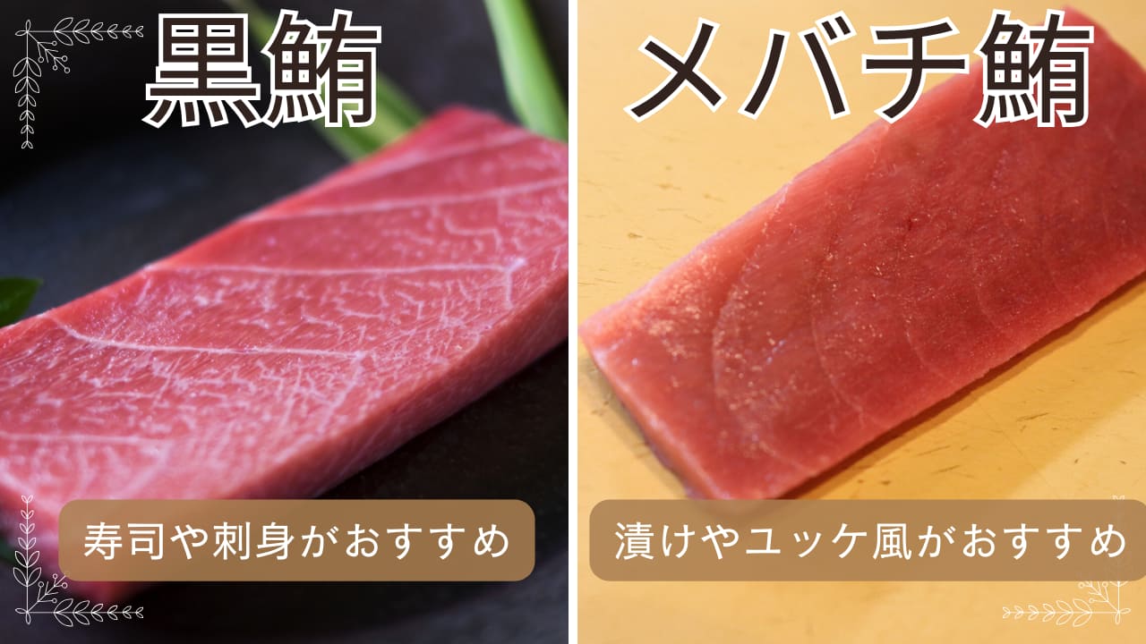 クロマグロ・メバチマグロの旬と漁期|美味しい時期を解説