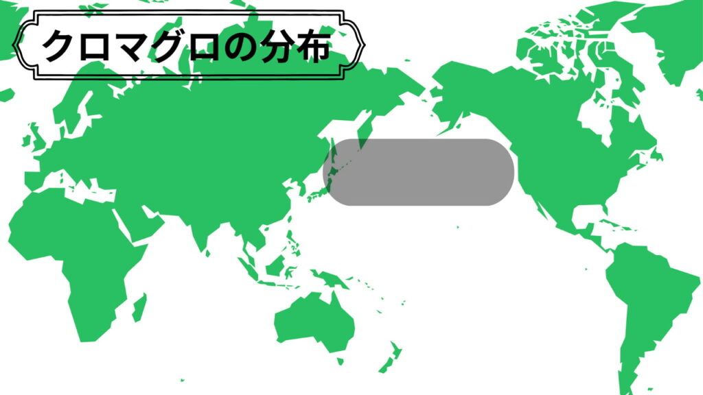 クロマグロ（太平洋クロマグロ）の分布図。北太平洋の温帯域を中心に回遊