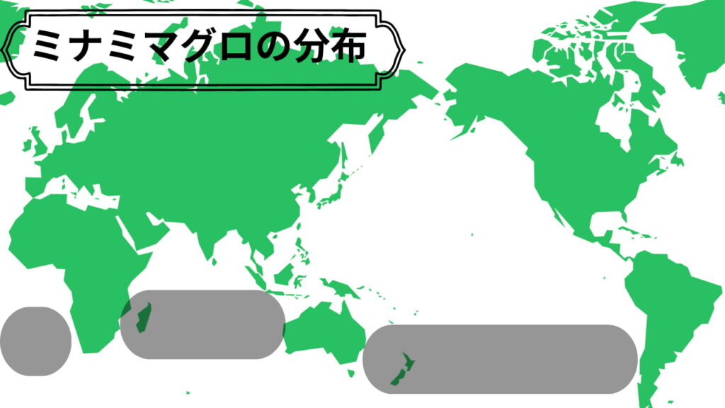 ミナミマグロの分布図。南半球の温帯海域が中心