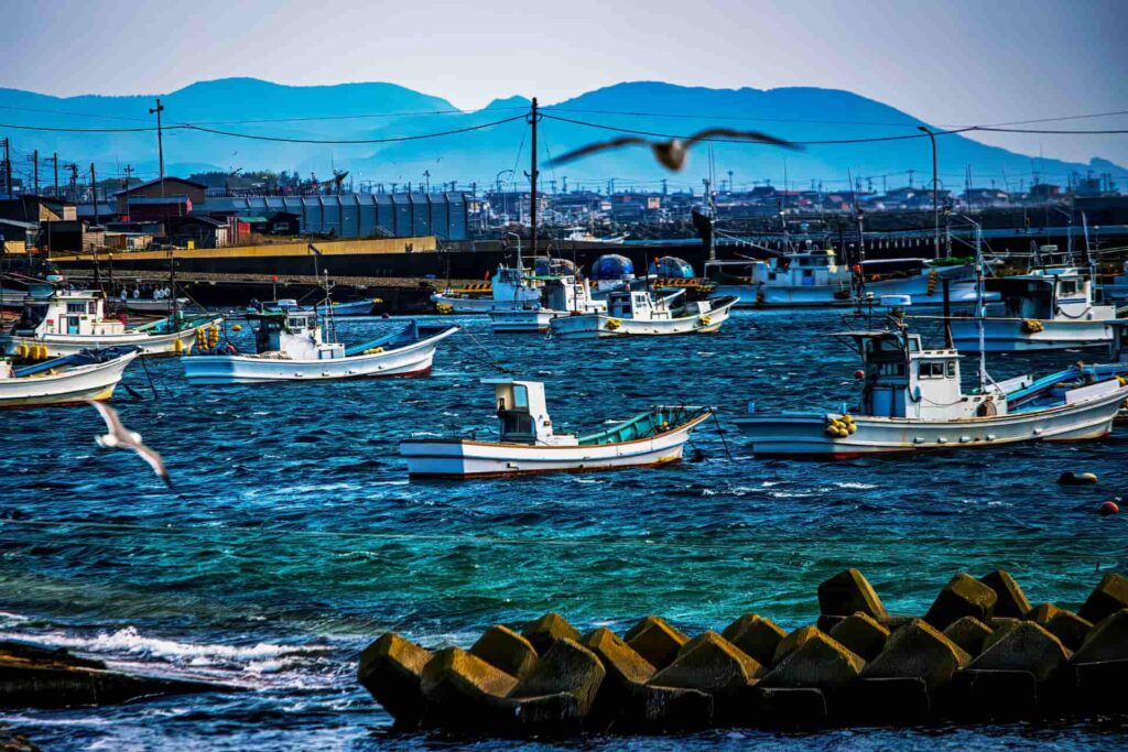 青森県大間の漁港風景（漁船と港）