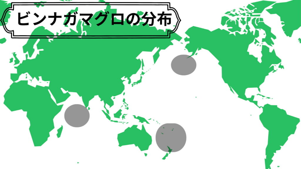 ビンナガ（ビンチョウ）マグロの分布図。温帯の外洋域に広く分布