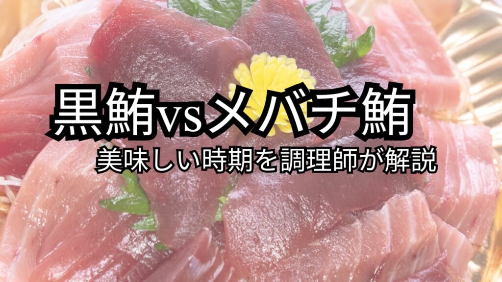 クロマグロ・メバチマグロの旬と漁期|美味しい時期を解説