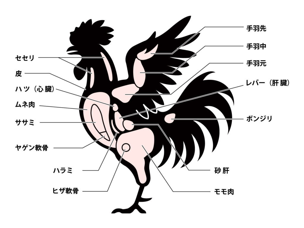 鶏肉の部位を名称入りで示した白黒イラスト