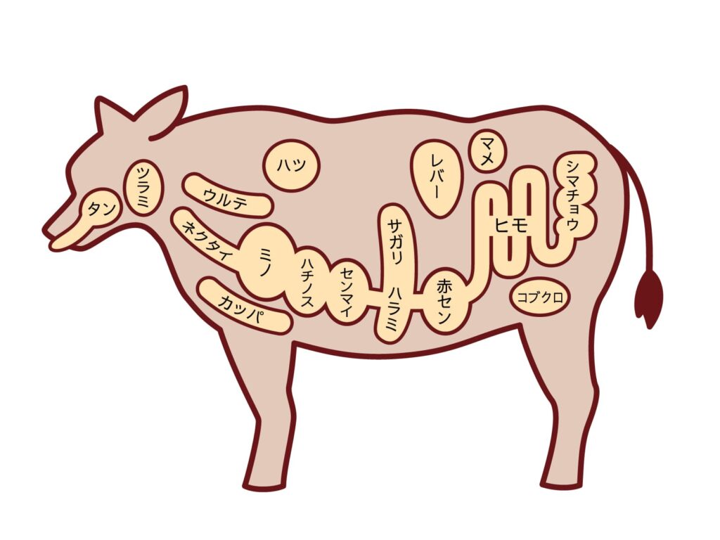 Beef Offal イラスト
