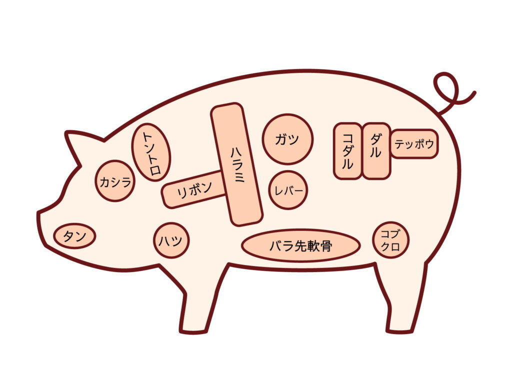 Pork Offal イラスト