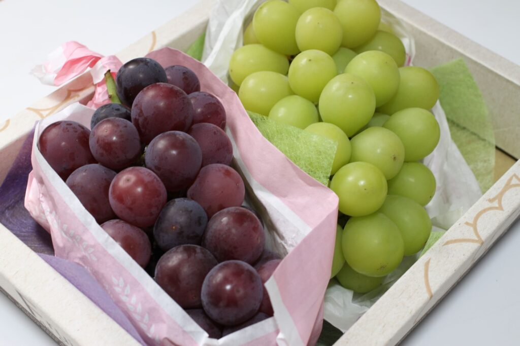 高級ぶどう（シャインマスカット・巨峰の詰め合わせ）