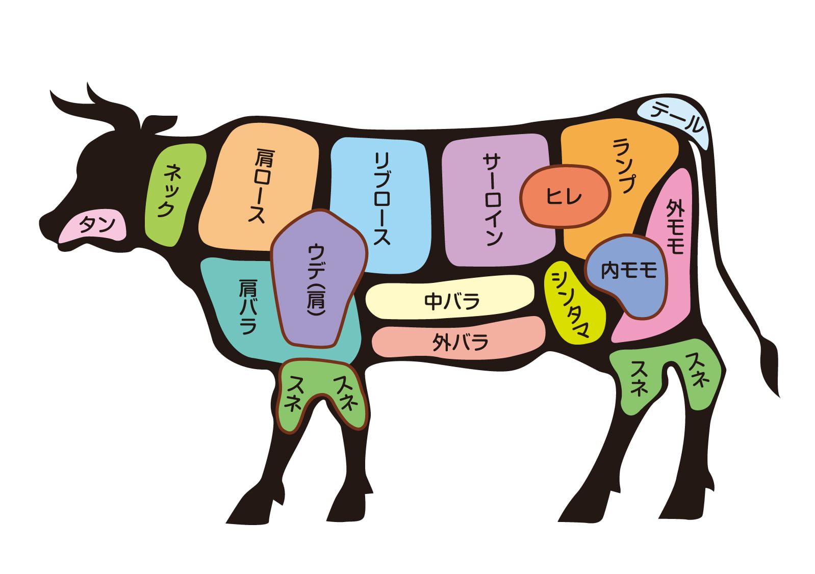 牛肉の部位図(カラー・部位名称入り)|サーロイン・ヒレ・リブロースなど主要部位の位置関係