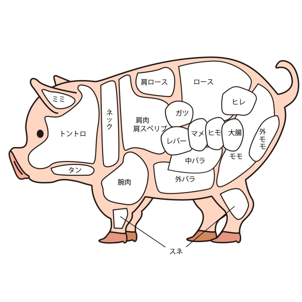 Pork Parts イラスト
