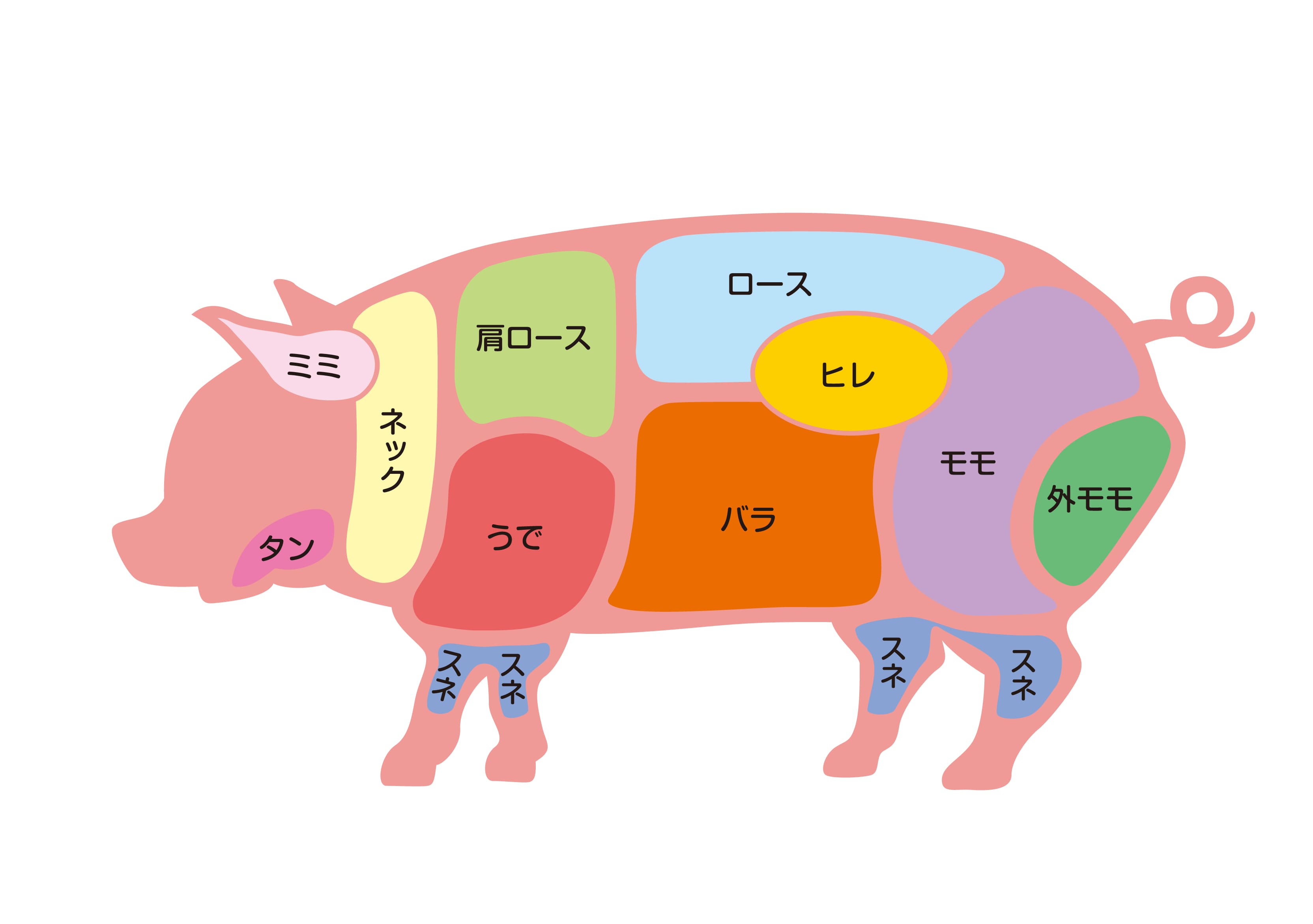 豚肉の部位を示すカラーイラスト（ロース・バラ・ヒレなどの位置を図解）