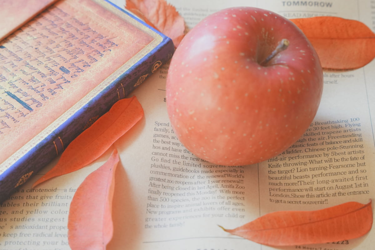 英文ノートの上に林檎と辞書が置かれた写真
