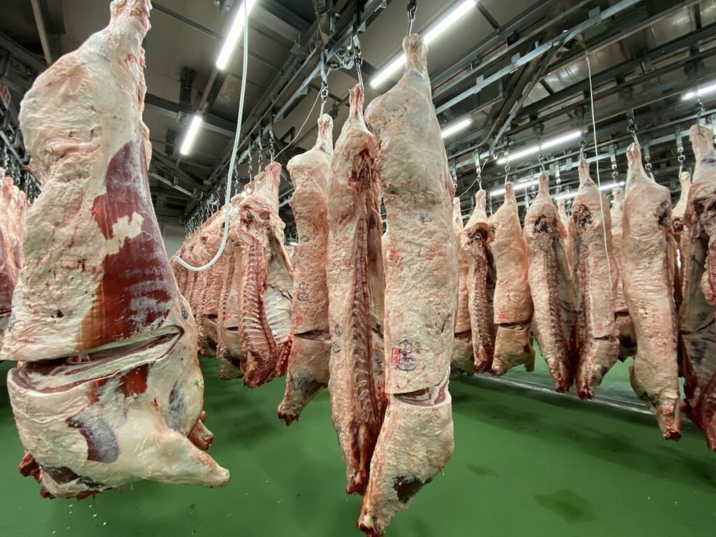 牛の枝肉。歩留等級（A・B・C）は、1頭から取れる肉の量を評価する基準。