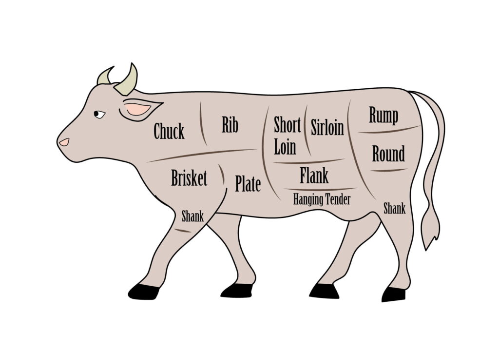 Beef Detailed Parts イラスト」