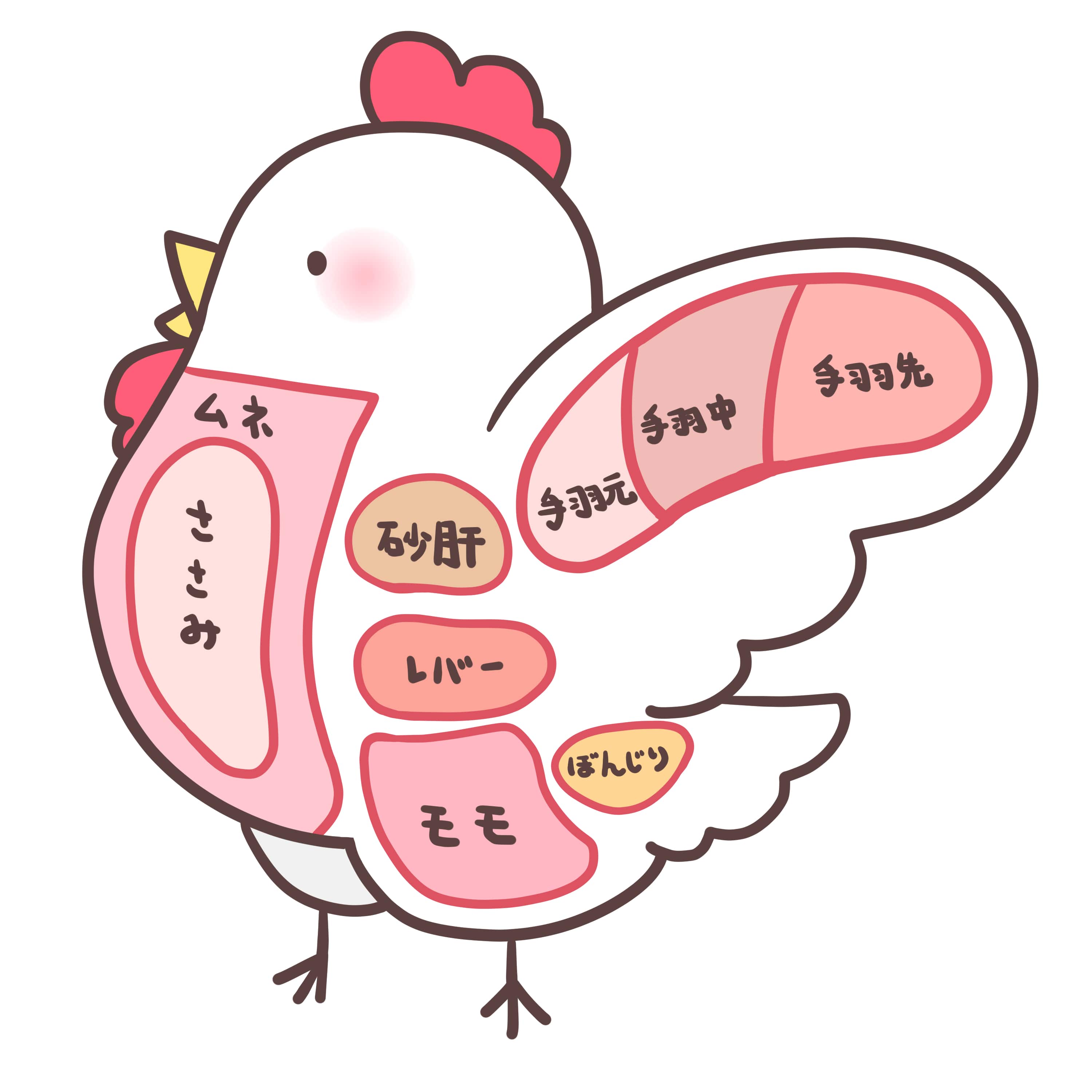 Chicken Partsイラスト