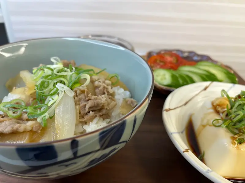 オイシックスの牛丼と冷奴、サラダを組みあわせた献立。