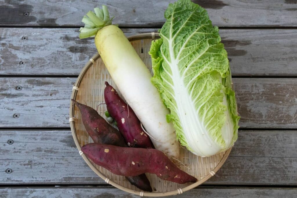 ざるに乗った大きな白菜、大根、さつまいも