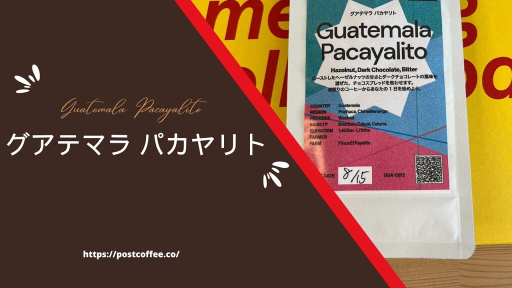グアテマラ パカヤリト｜ヘーゼルナッツとダークチョコの深煎りフレーバー