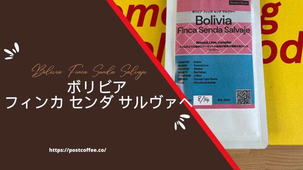 ボリビア フィンカ センダ サルヴァヘ｜ライムの酸とアーモンドのコクが特徴の豆