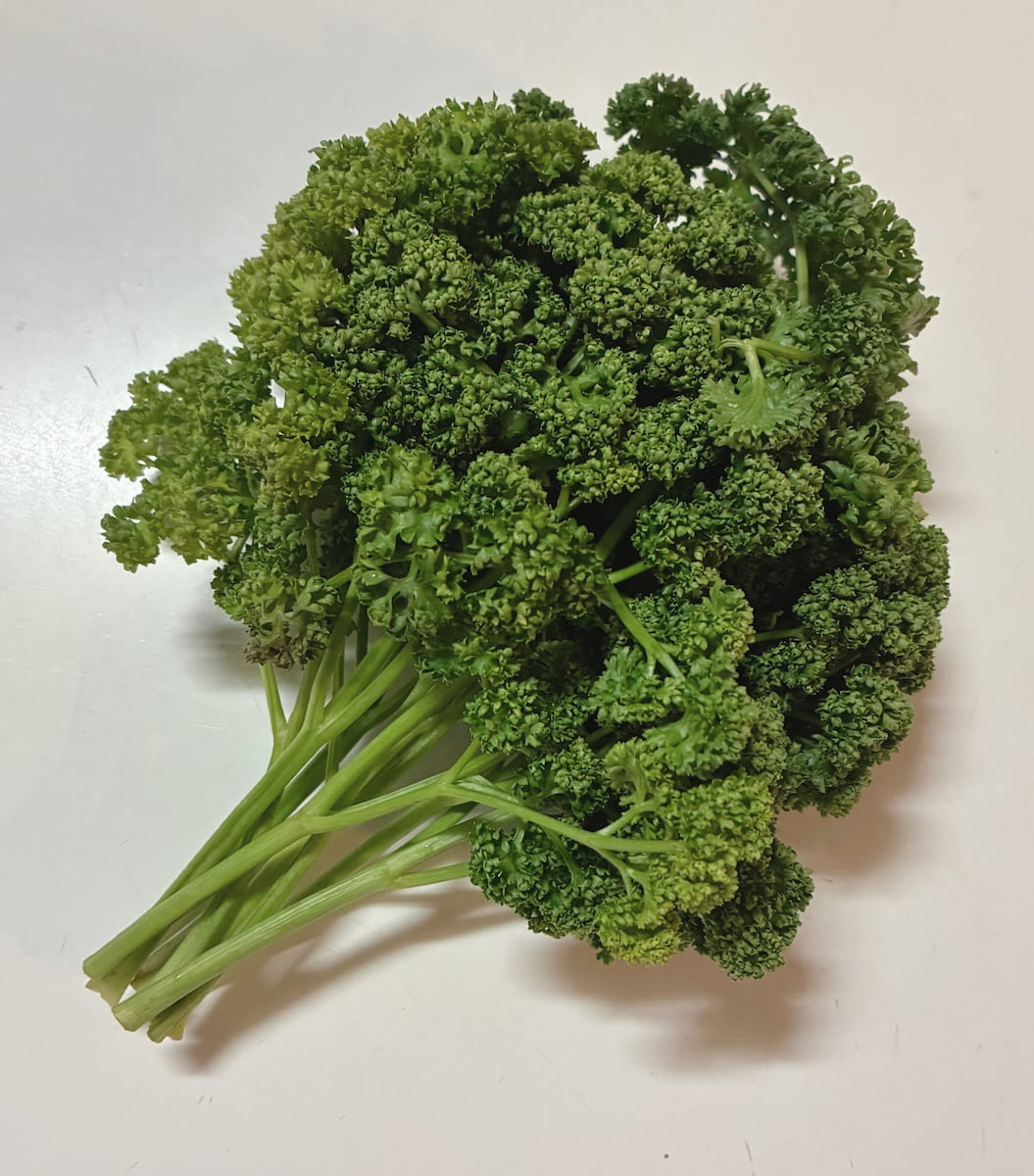 鉄分の含有量が多い「野菜」｜パセリ