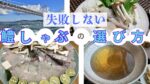 【調理師が厳選】失敗しない「鱧（はも）しゃぶ」の選び方｜淡路産ブランド鱧のお取り寄せを徹底解説