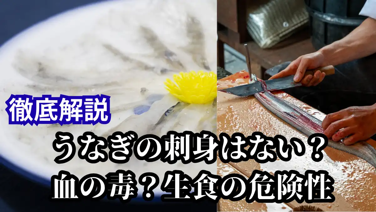うなぎの刺身がない理由は血の毒？生食の危険性を調理師が徹底解説