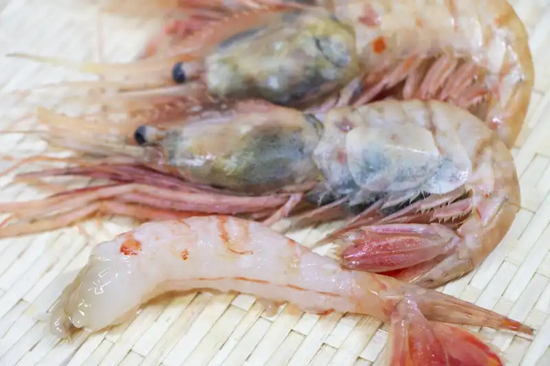 10月におすすめの旬魚「ぼたんえび」