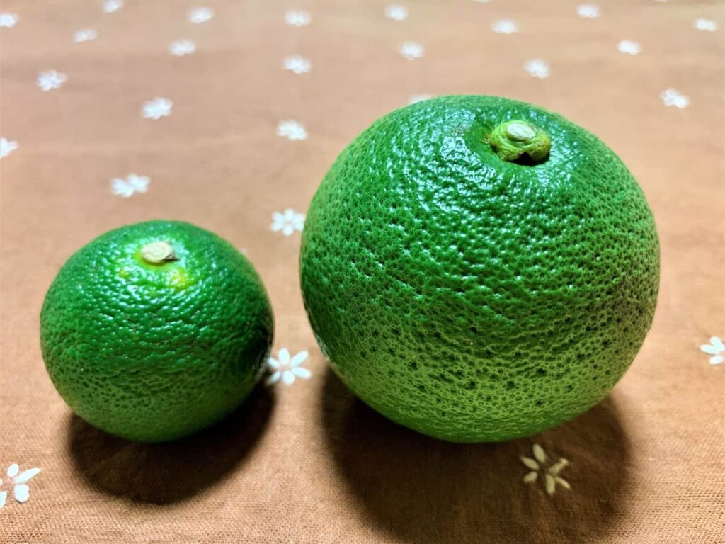 鯛しゃぶの薬味｜すだち・かぼす・ゆず