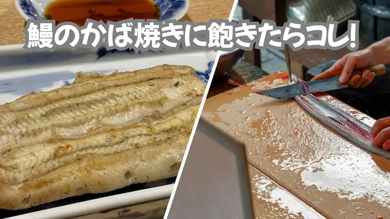 【結論】鰻のかば焼きに飽きたらコレ！調理師が教える蒲焼き以外の極上鰻料理2選